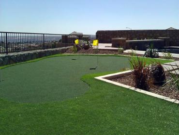 Artificial Grass Photos: Synthetic Pet Turf Artesia California Landscape